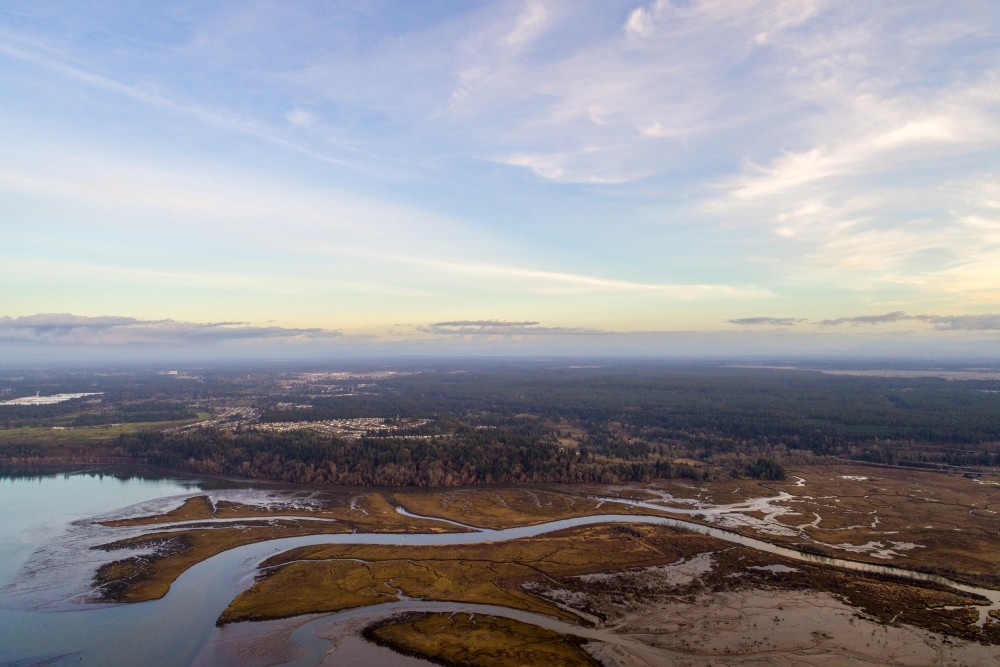 Cover photo for Floodplains and Estuaries