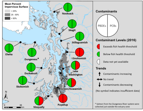 JuvChin_2020VSUpdate_MapForSplashPage_RESIZED.png